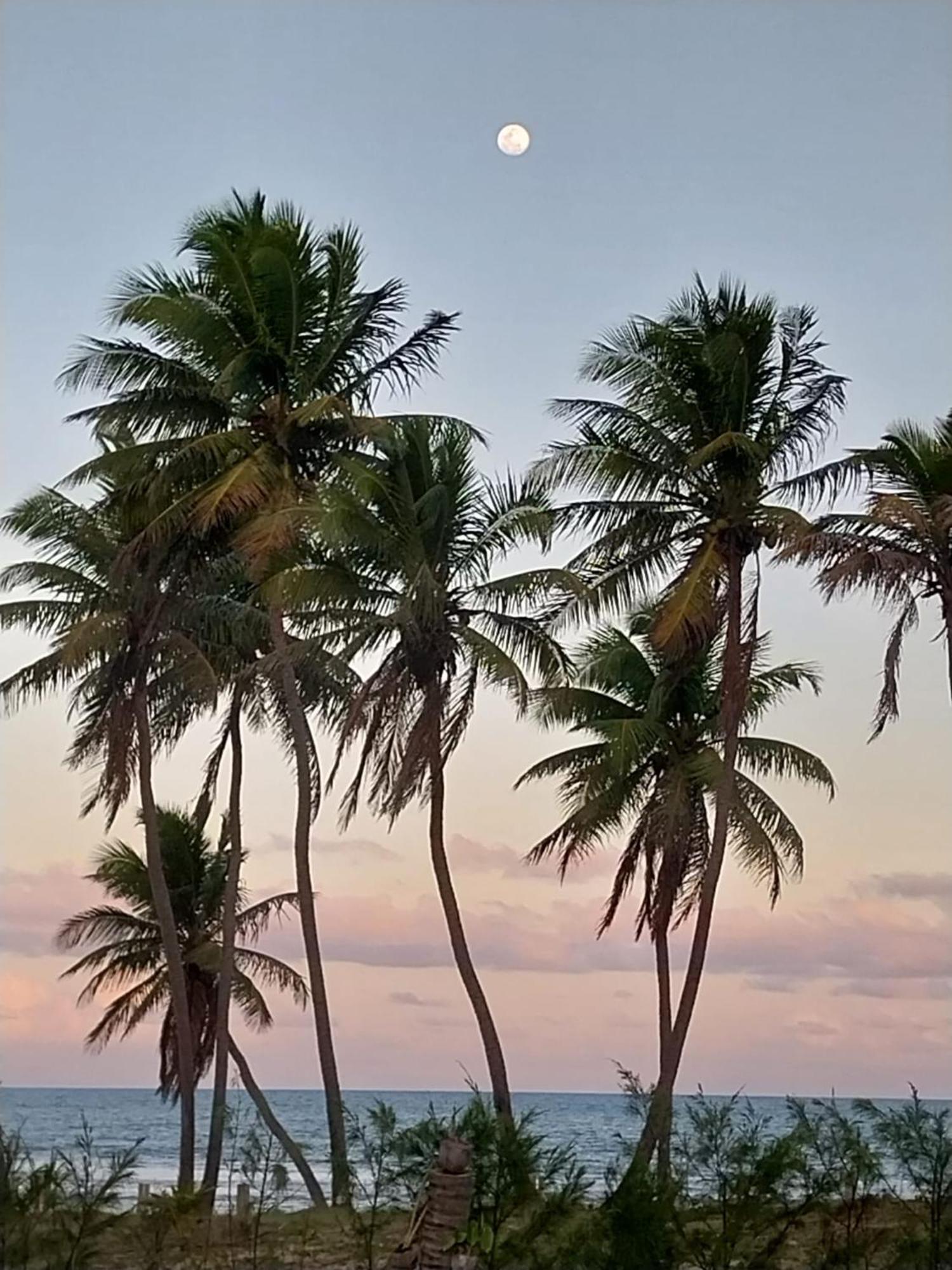 Beach House - Secured, Beach Access, Sea View, Best Location 바이시우 외부 사진